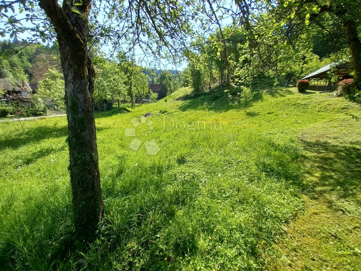 Land For sale - PRIMORSKO-GORANSKA  DELNICE 