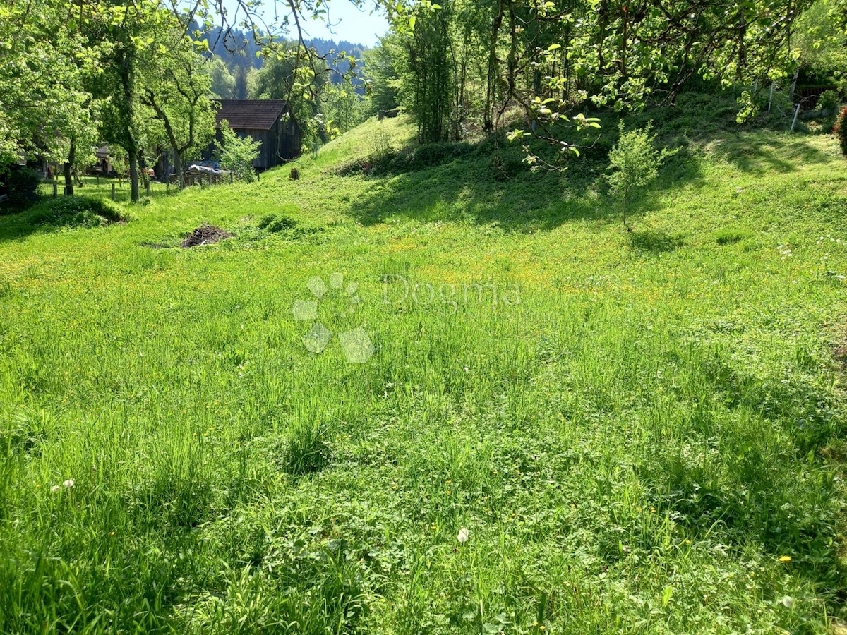 Land For sale - PRIMORSKO-GORANSKA  DELNICE 