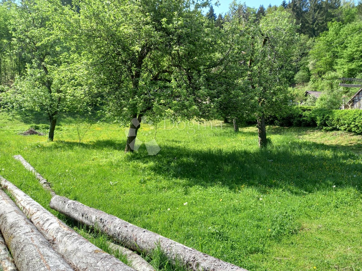 Land For sale - PRIMORSKO-GORANSKA  DELNICE 