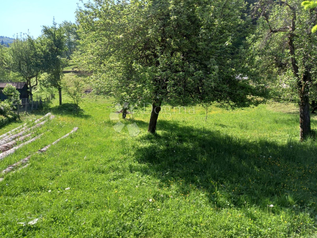 Land For sale - PRIMORSKO-GORANSKA  DELNICE 