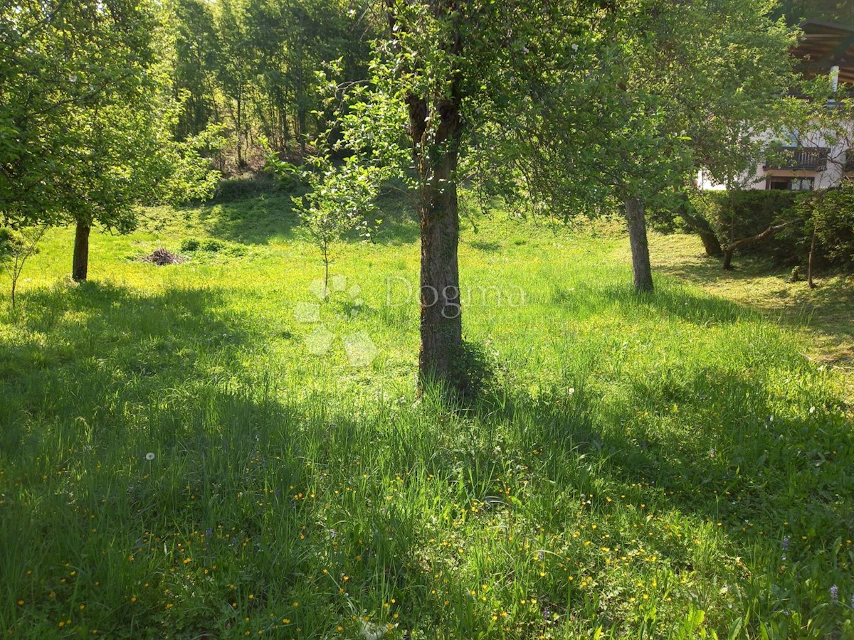 Land For sale - PRIMORSKO-GORANSKA  DELNICE 