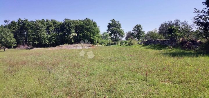 Terreno In vendita - Istarska Vodnjan - foto 3/4