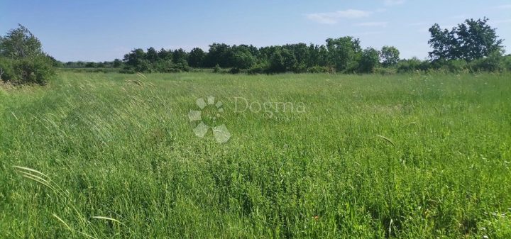 Pozemok Na predaj - Istarska Vodnjan - foto 5/5