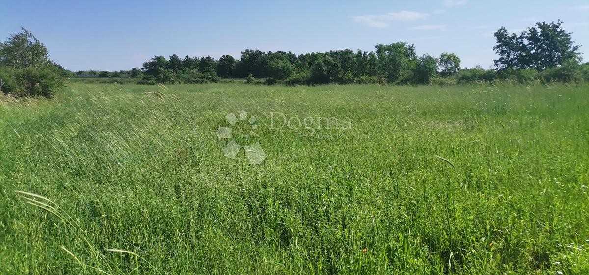 Pozemok Na predaj - ISTARSKA  Vodnjan