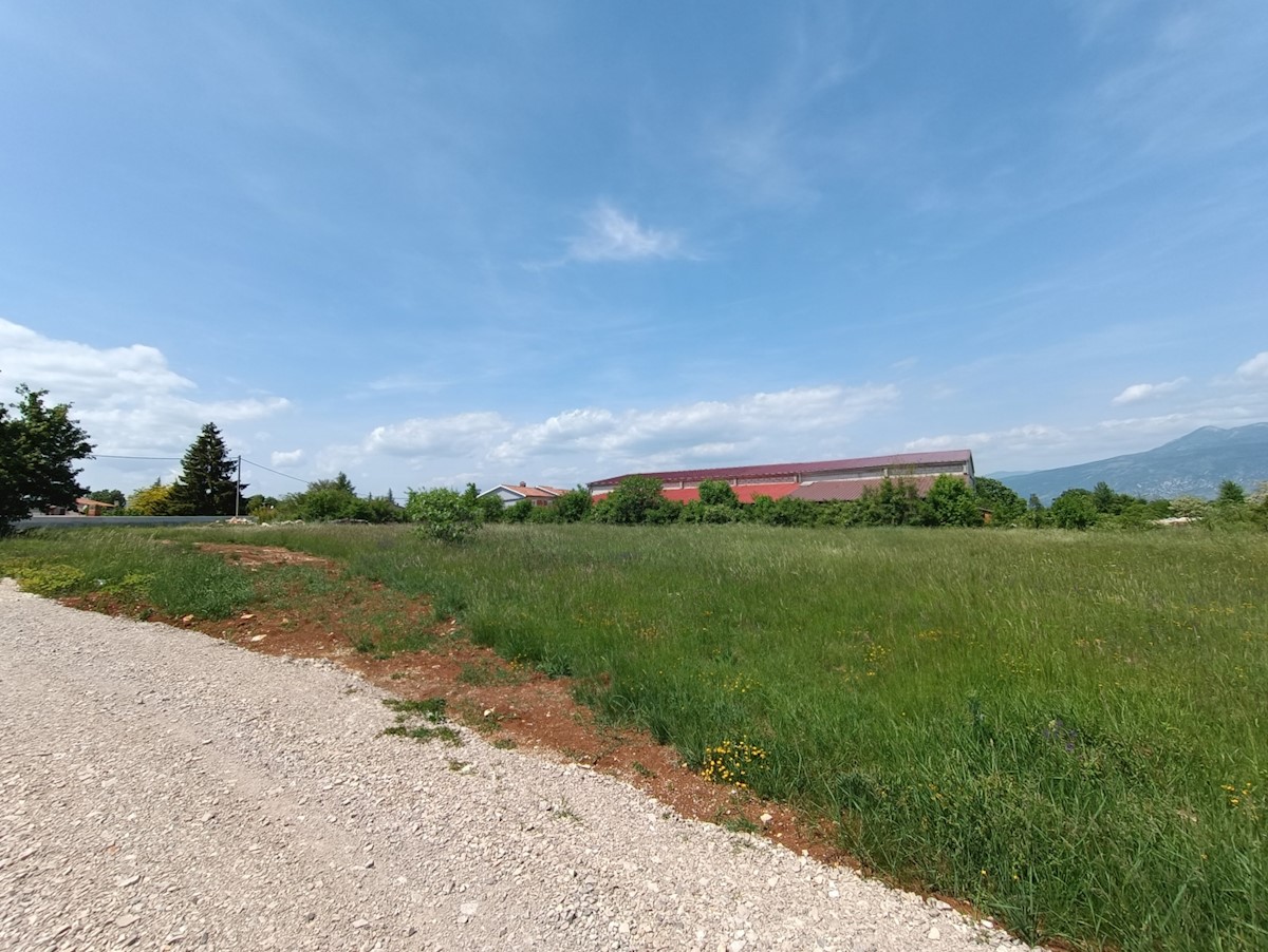 Land For sale - ISTARSKA  KRŠAN 