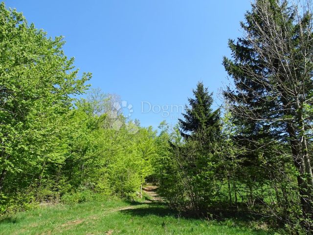 Pozemek Na prodej - Primorsko-goranska Fužine - foto 2/11