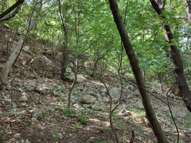 Pozemok na predaj 7064 m² – Slavica
