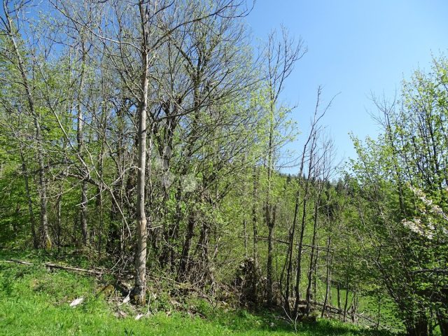 Pozemek Na prodej - Primorsko-goranska Fužine - foto 3/5