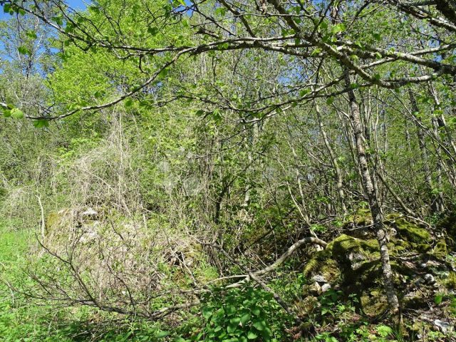 Pozemek Na prodej - Primorsko-goranska Fužine - foto 4/5