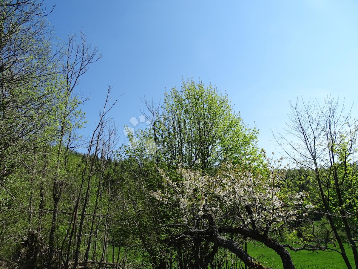 Zemljište Na prodaju - PRIMORSKO-GORANSKA  FUŽINE 