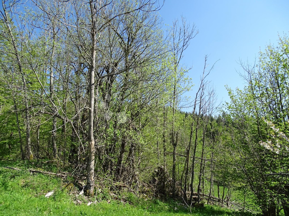 Zemljište Na prodaju - PRIMORSKO-GORANSKA  FUŽINE 