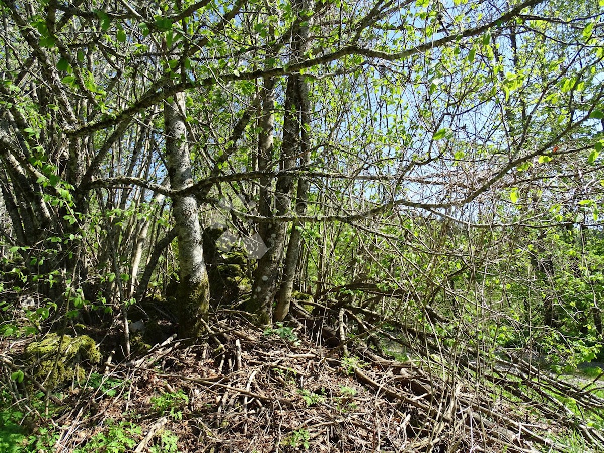 Zemljište Na prodaju - PRIMORSKO-GORANSKA  FUŽINE 