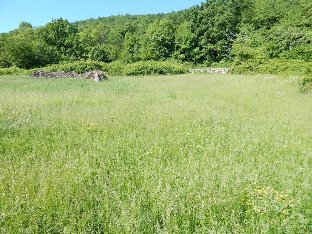Land for sale 2900 m² – Pobri