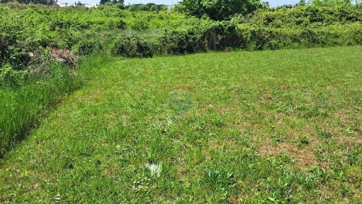 Land For sale - Istarska Novigrad - foto 2/2