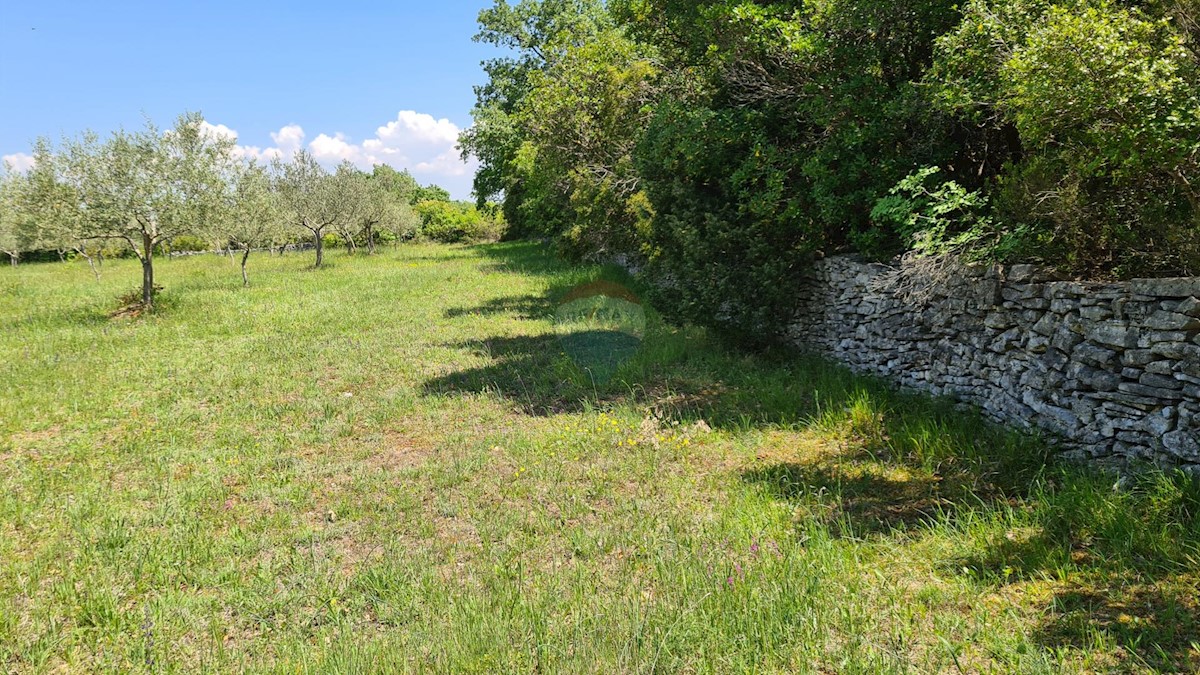 Zemljište Na prodaju - ISTARSKA  BALE 