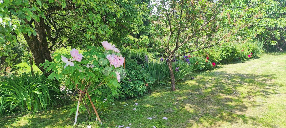 Haus Zu verkaufen - VARAŽDINSKA  GORNJI KNEGINEC 