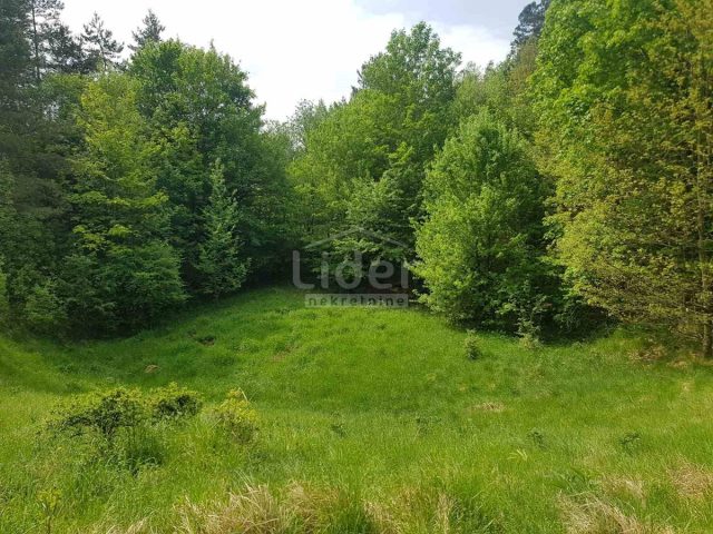 Terreno in vendita 5755 m² – Šapjane