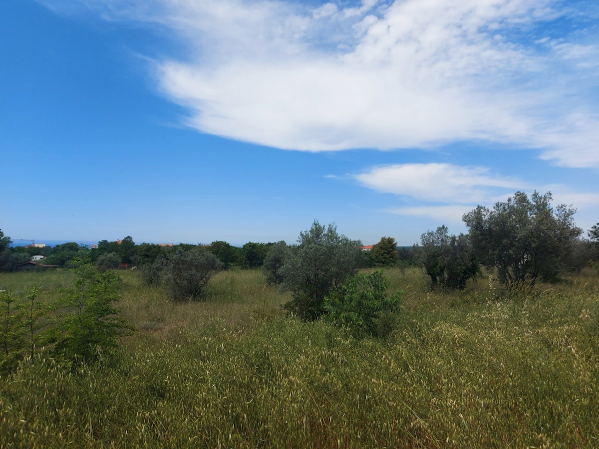 Land For sale - ISTARSKA  VODNJAN 