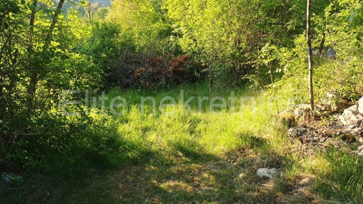 Land For sale ŠAPJANE