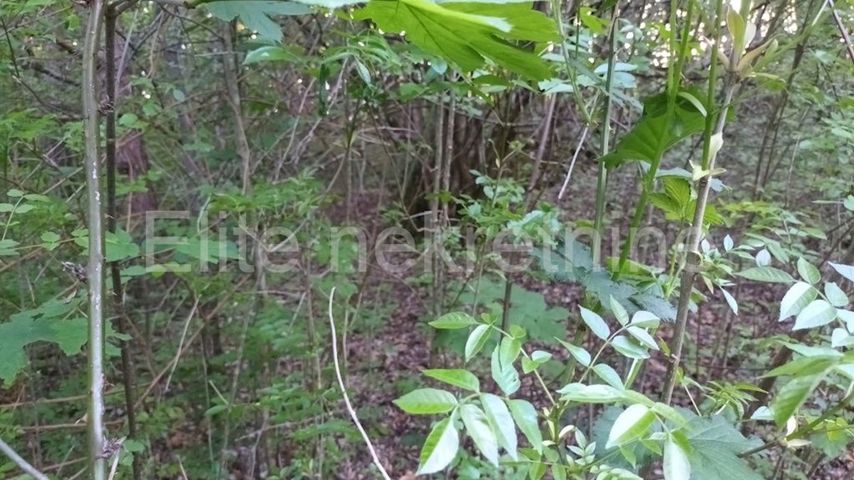 Land For sale - PRIMORSKO-GORANSKA  MATULJI 