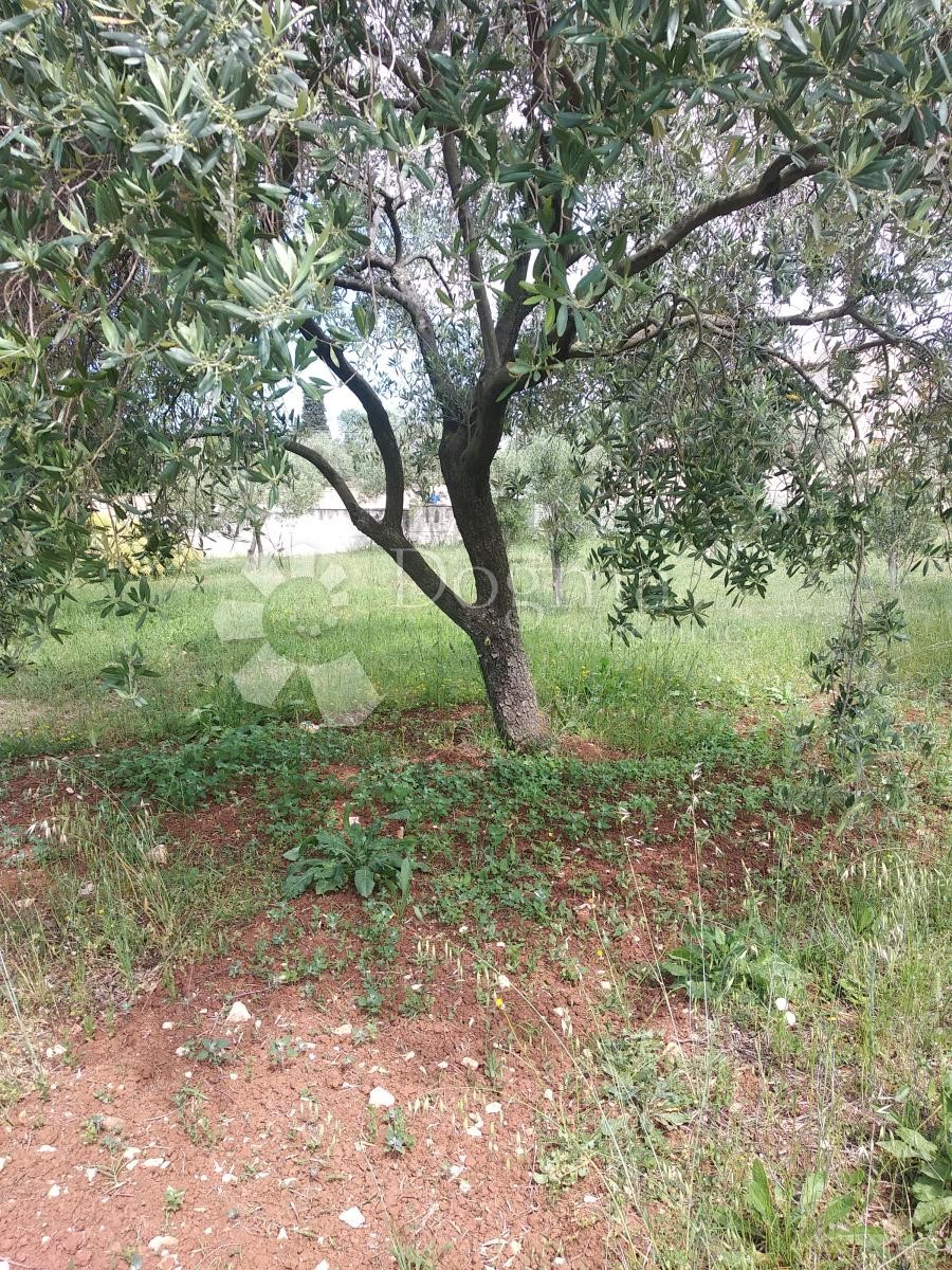 Parcela Na predaj - Istarska Fažana - foto 3/4