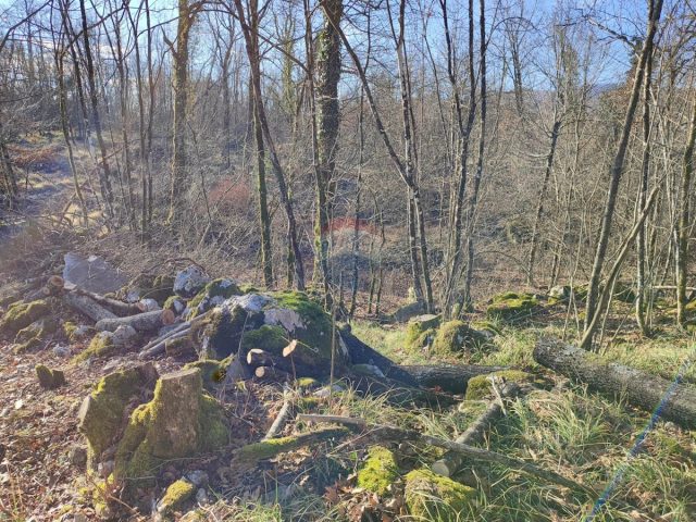 Land For sale - Primorsko-goranska Matulji - foto 3/6