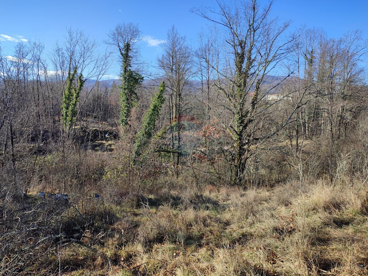 Zemljište Na prodaju - PRIMORSKO-GORANSKA  Matulji