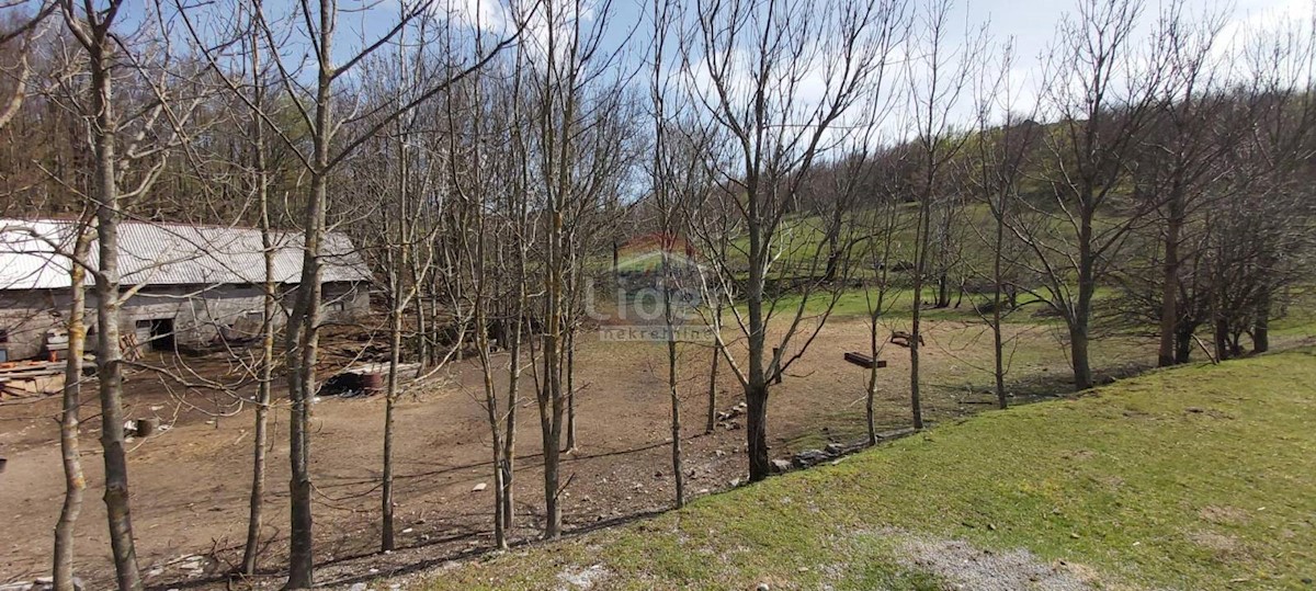 Land For sale - PRIMORSKO-GORANSKA  JELENJE 