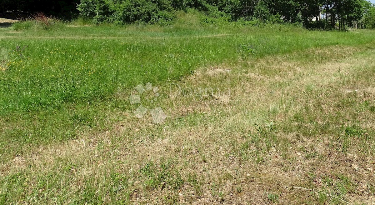 Terreno In vendita - ISTARSKA  Višnjan
