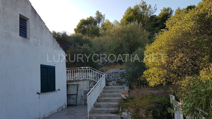 Hiša Naprodaj - Dubrovačko-neretvanska Korčula - foto 5/30