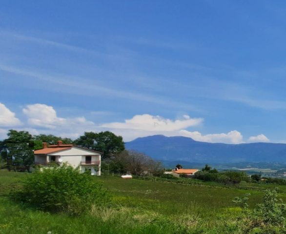 Pozemok na predaj 6000 m² – Pićan