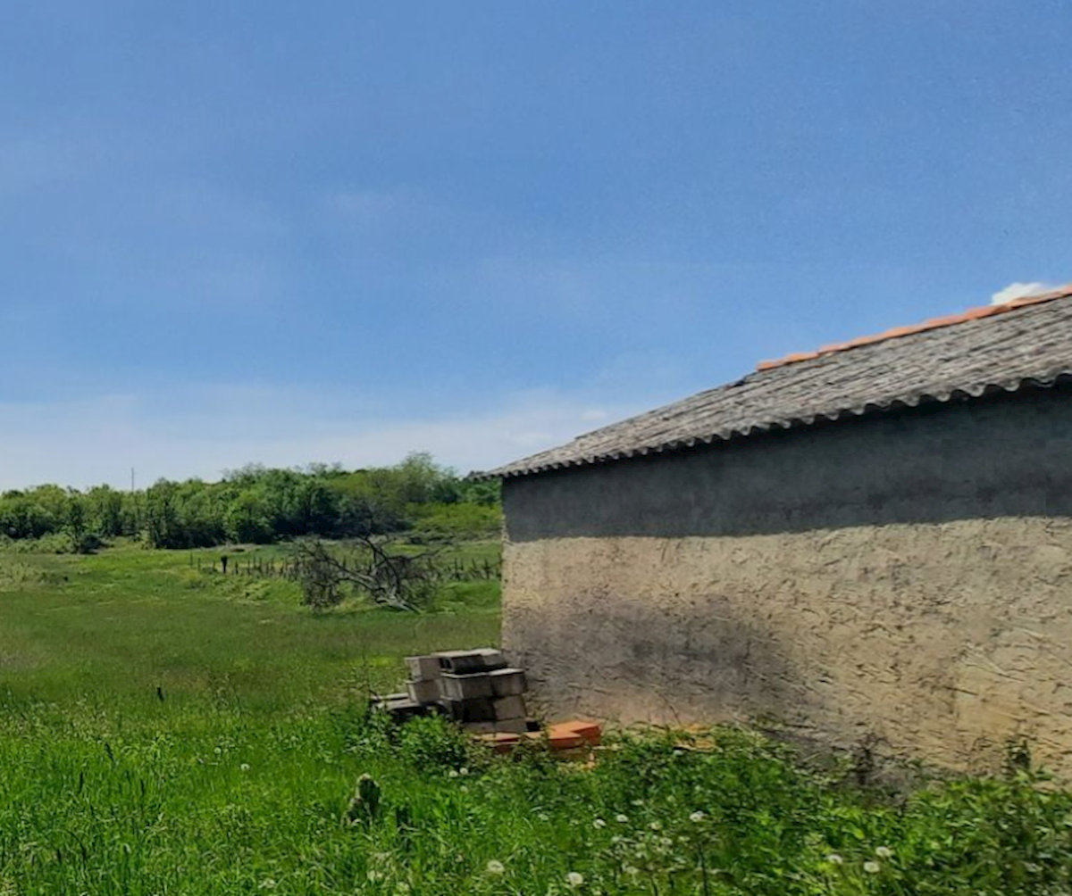 Land For sale - ISTARSKA  PIĆAN 