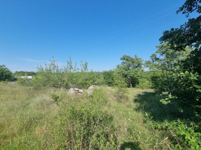 Terreno In vendita - Istarska Tar-vabriga - foto 2/5