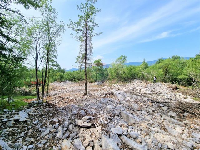 Land for sale 6131 m² – Permani