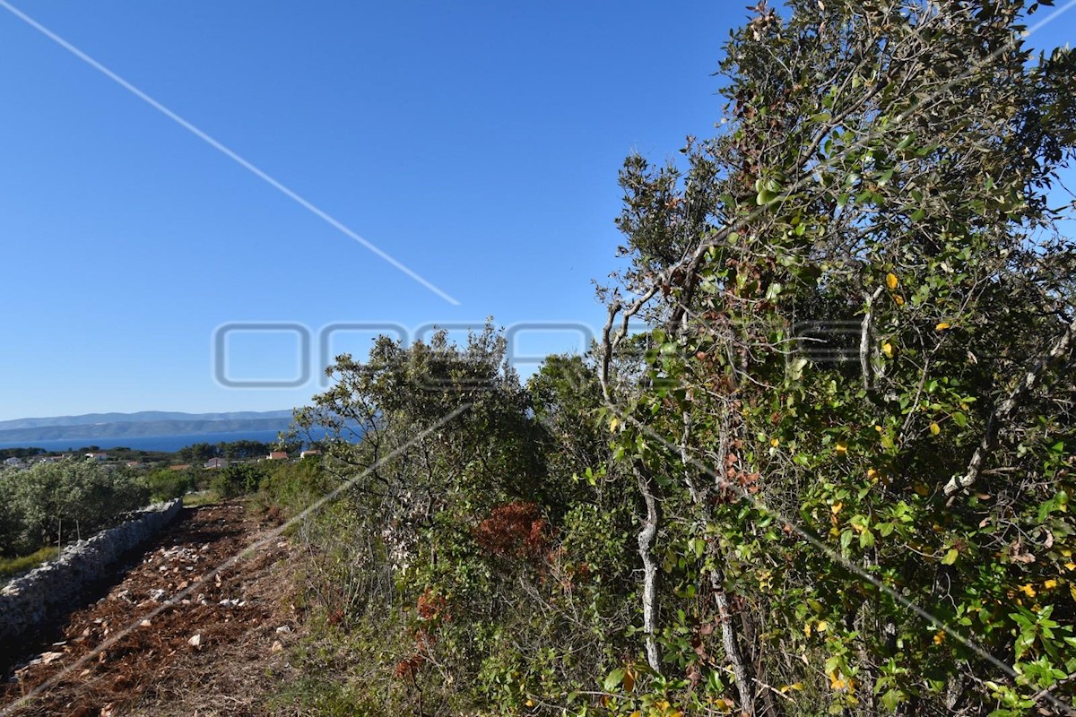 Land For sale - SPLITSKO-DALMATINSKA  ŠOLTA 