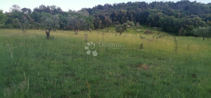 Land for sale 11900 m² – Pula