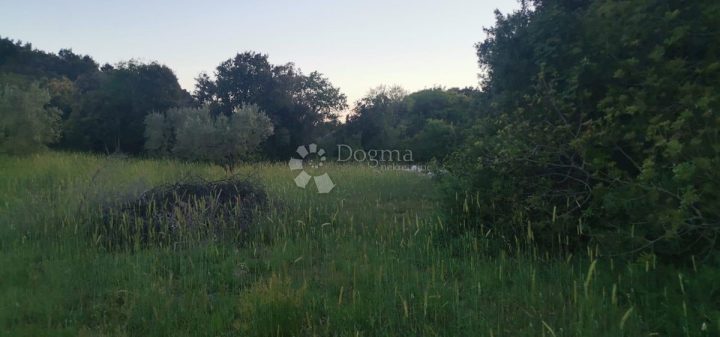 Parcela Naprodaj - Istarska Pula - foto 3/3