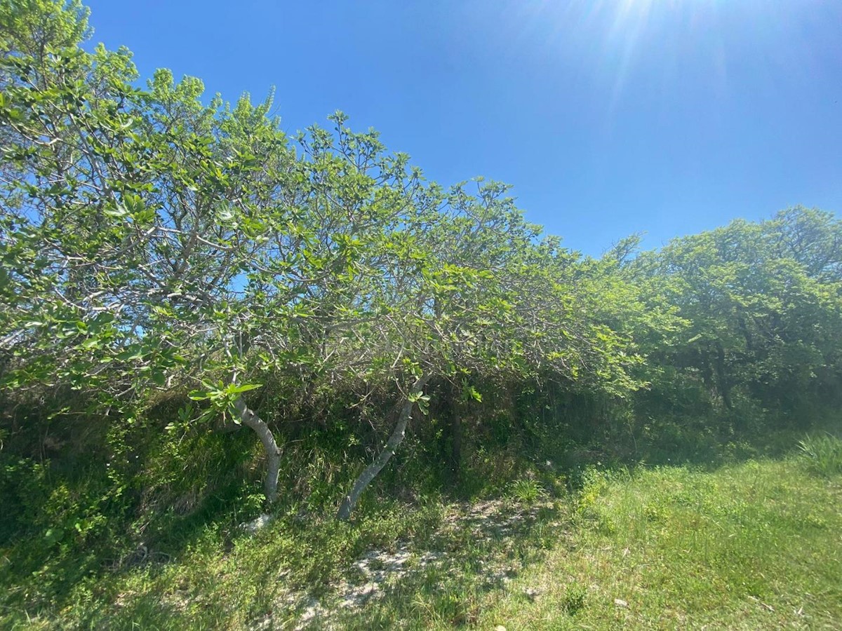 Land For sale - Zadarska Ražanac - foto 4/9