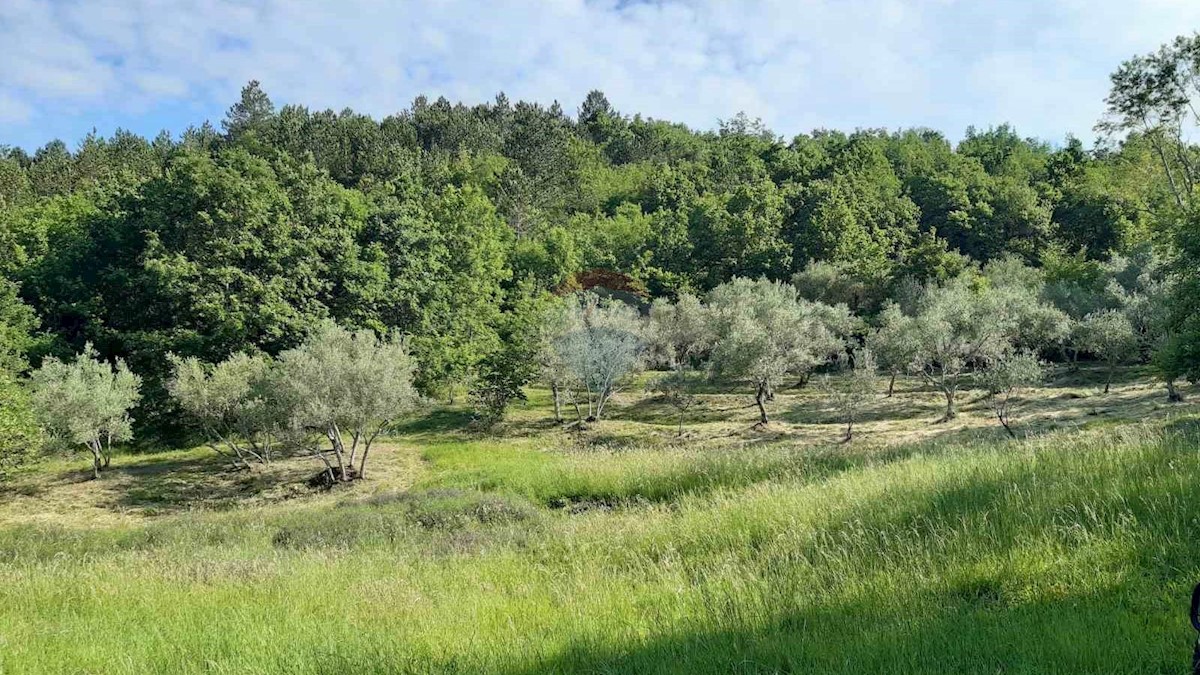 Haus Zu verkaufen - ISTARSKA  CEROVLJE 