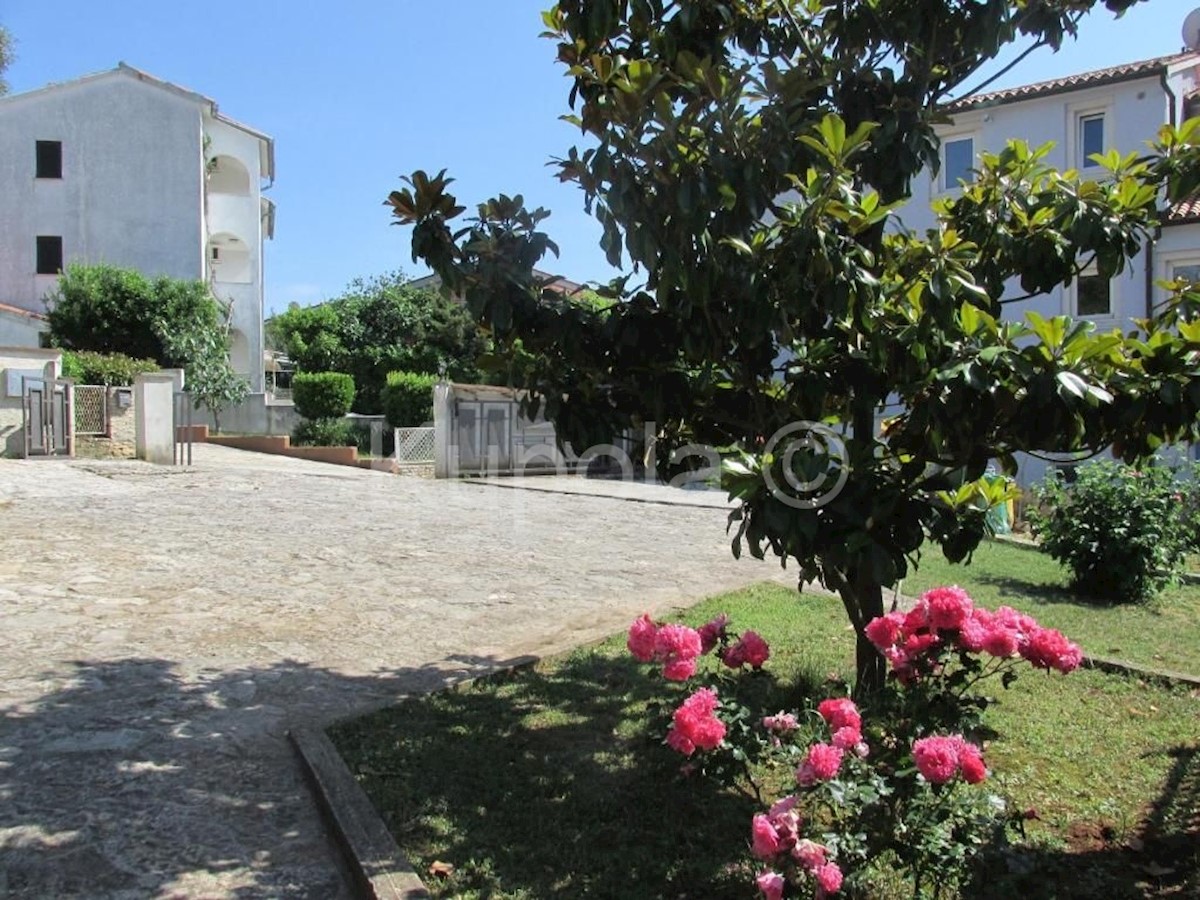 House For sale - ISTARSKA  PULA 