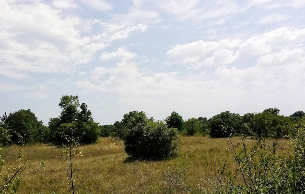 Land For sale - ISTARSKA LABIN