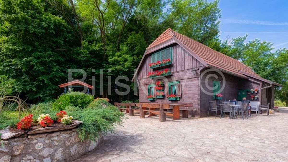 Maison À vendre - ZAGREBAČKA SVETA NEDELJA