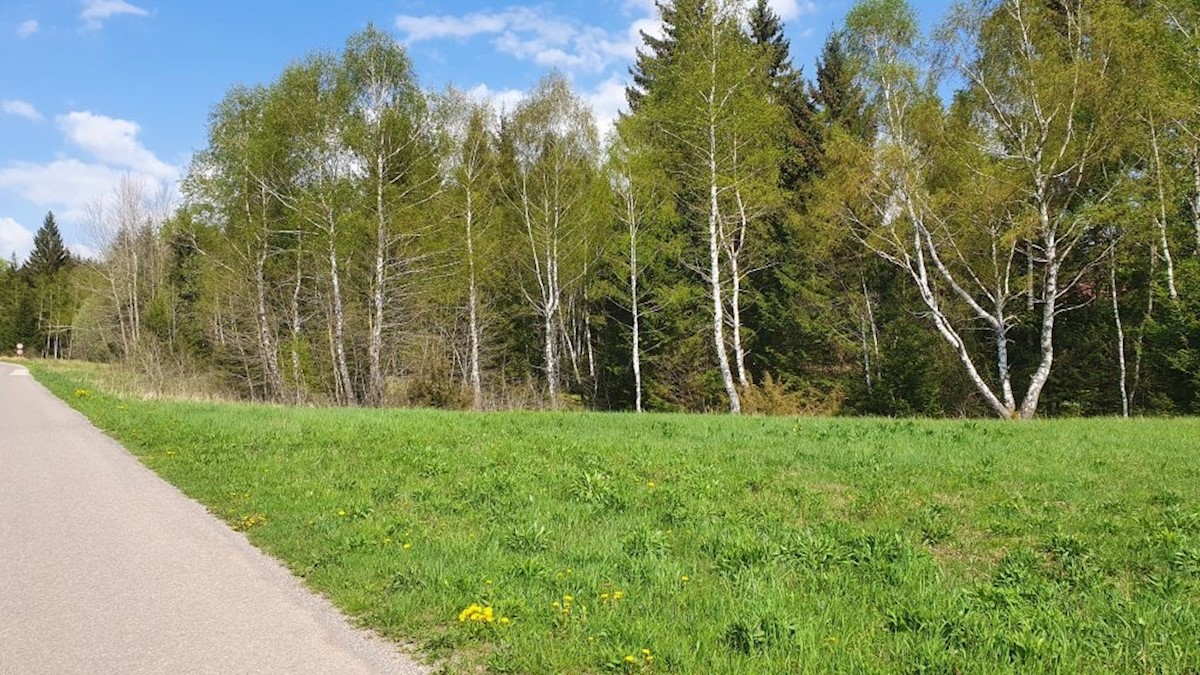 Grundstück Zu verkaufen - PRIMORSKO-GORANSKA  SKRAD 