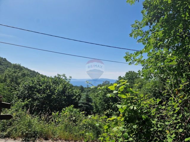 Zemljište na prodaju 1560 m² – Veprinac