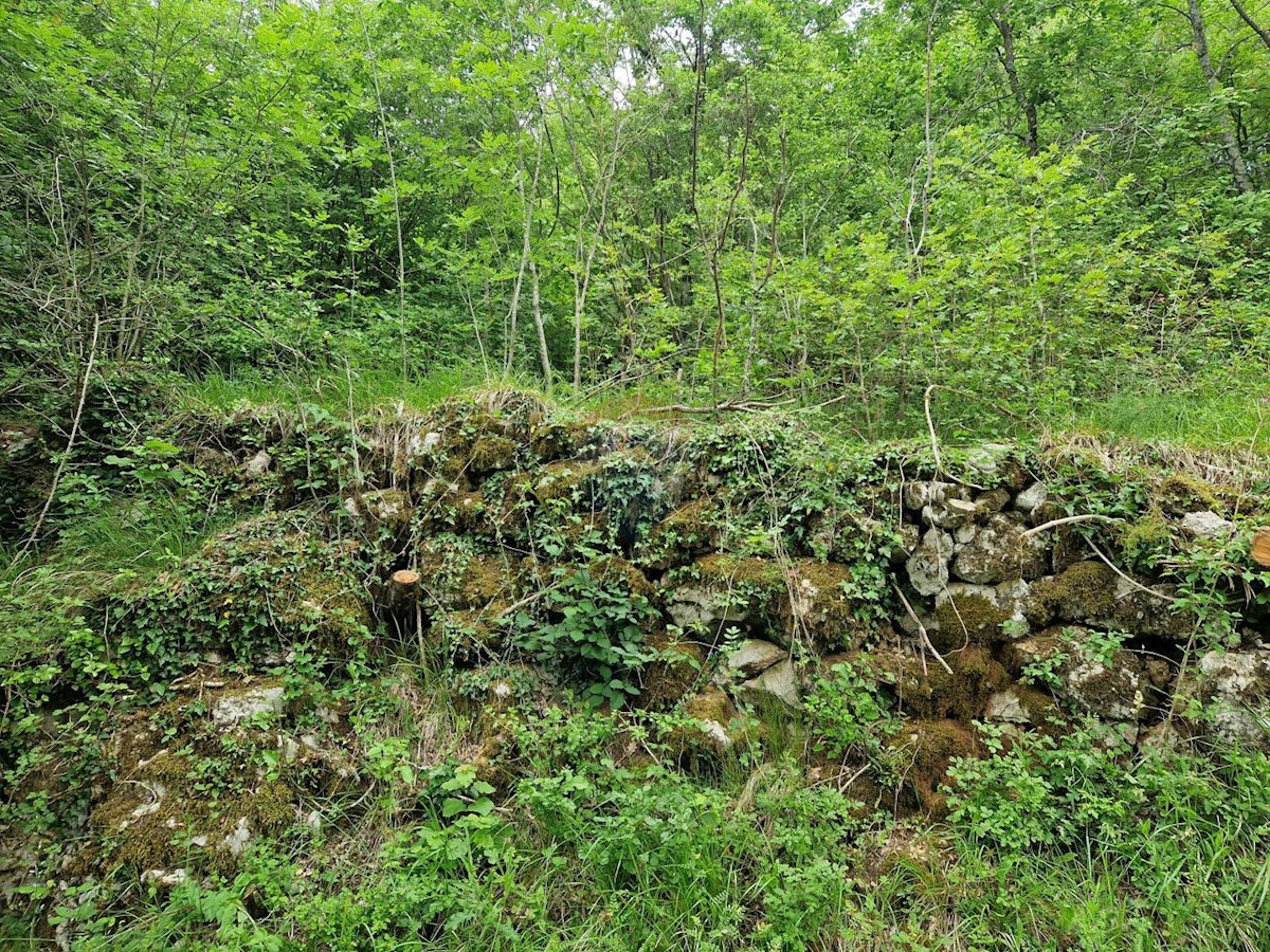 Terreno In vendita - PRIMORSKO-GORANSKA  Opatija