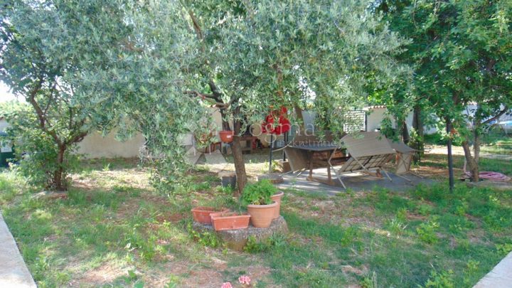 House For sale - Istarska Vodnjan - foto 4/12