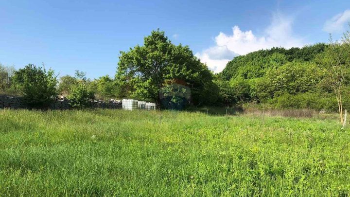 Terrain à vendre 3928 m² – Tinjan