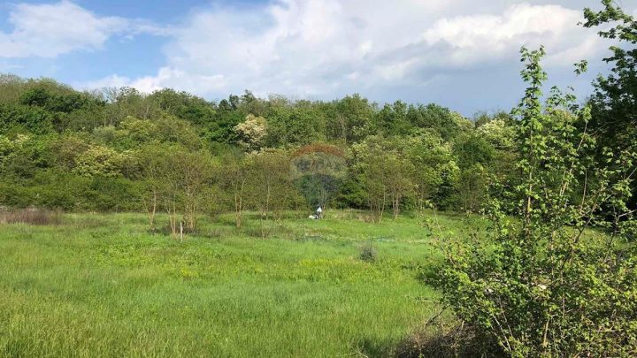 Land For sale - Istarska Tinjan - foto 2/4