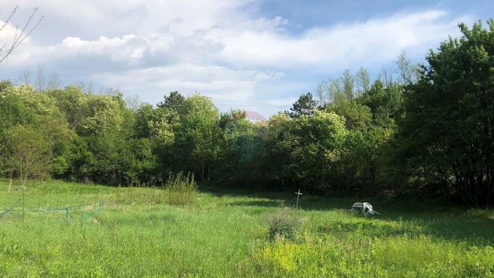Land For sale - Istarska Tinjan - foto 4/4
