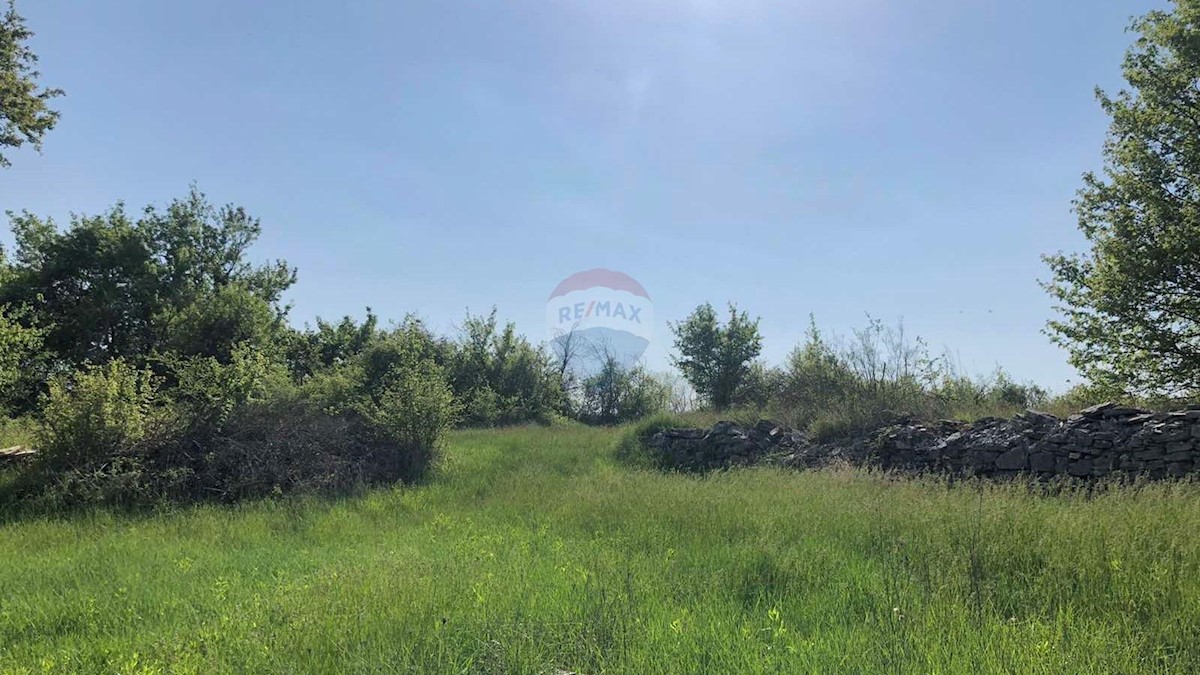 Terreno In vendita - ISTARSKA  Tinjan